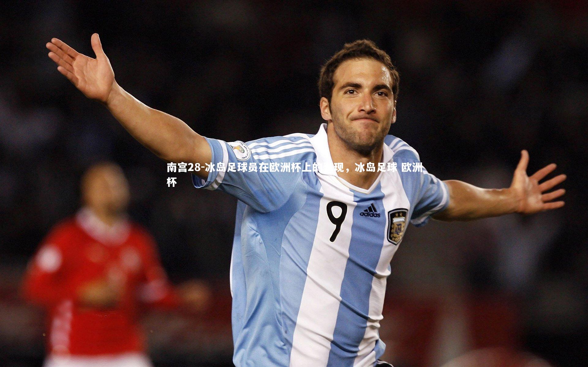 南宫28-冰岛足球员在欧洲杯上的表现，冰岛足球 欧洲杯-第1张图片-南宫28