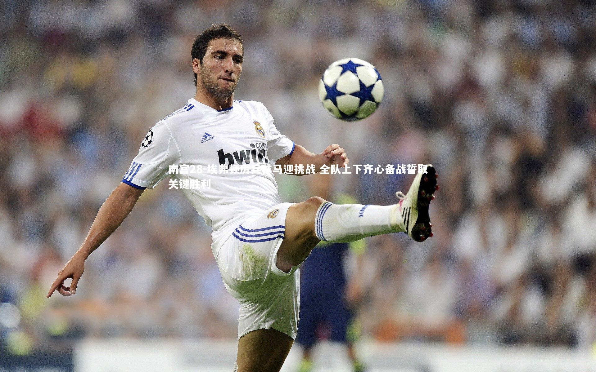 南宫28-埃弗顿厉兵秣马迎挑战 全队上下齐心备战誓取关键胜利-第2张图片-南宫28